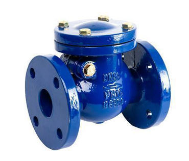 Picture for category NON RETURN VALVE