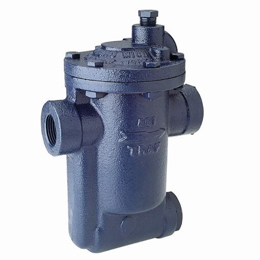 Picture of Steam Trap,Armstrong,Inverted bucket,881,DN20mm, 250psi operating pressure,#38 orifice ,screwed BSP female x female,cast iron