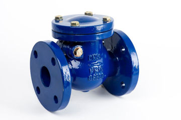 Picture of Non-return Valve,Natco,Standard industrial,DN65mm,
flanged BS4504 drilled,swing type metal trim,Table D rated,
cast iron body