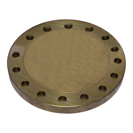 Picture of FORGED FLANGE ASTM/ASME A/SA 105 ASA300 x RF x BLD x 250