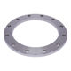 Picture of PLATE FLANGE GRADE 304 L T1000 FLAT FACE SLIP ON 250