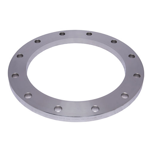 Picture of PLATE FLANGE GRADE 304 L T1000 FLAT FACE SLIP ON 300