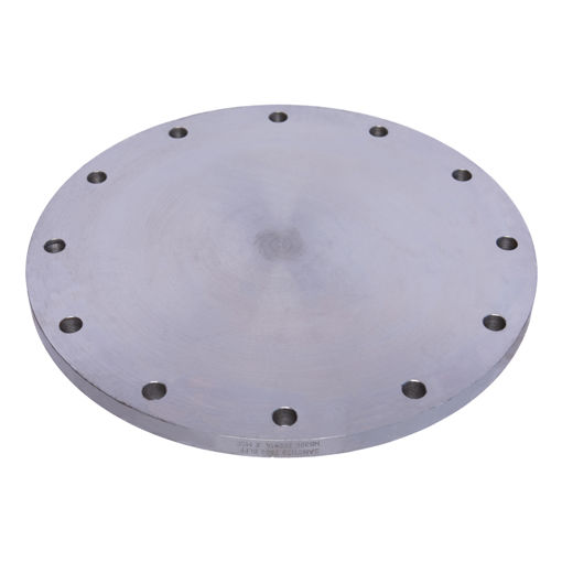 Picture of PLATE FLANGE COMMERCIAL QUALITY T600 FLAT FACE BLIND 300
