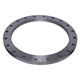 Picture of PLATE FLANGE COMMERCIAL QUALITY T1000 FLAT FACE WELD ON 550