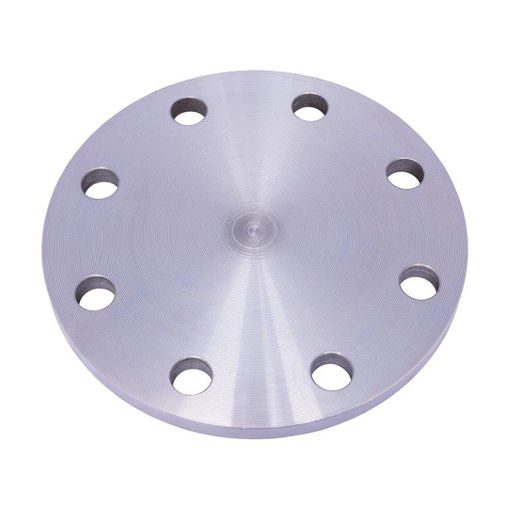 Picture of PLATE FLANGE COMMERCIAL QUALITY T1000 FLAT FACE BLIND 100