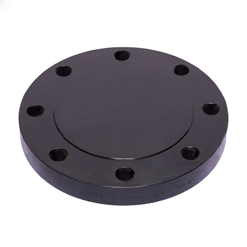 Picture of FORGED FLANGE ASTM/ASME A/SA 105 ASA300 x RF x BLD x 50