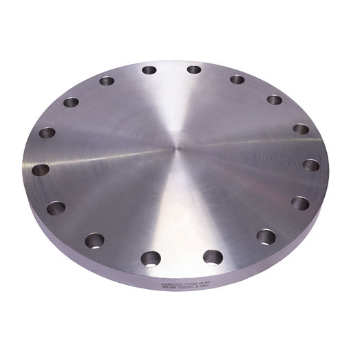 Picture of PLATE FLANGE COMMERCIAL QUALITY T2500 FLAT FACE BLIND 300