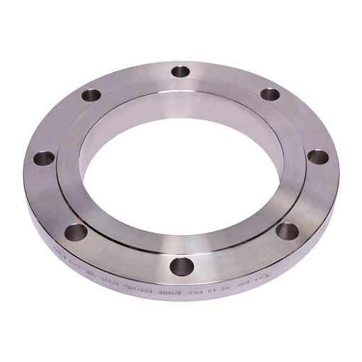 Picture of PLATE FLANGE GRADE 316 L ASA150 RAISED FACE SLIP ON 100