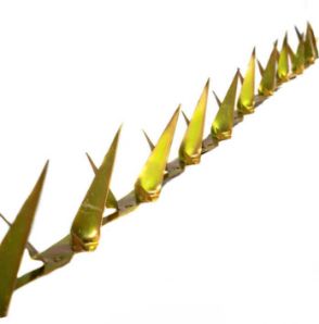 Picture for category WALL SPIKE