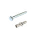 Picture of COACH SCREW LONG & PLUG 10X75MM (PLUG 12MM) Q:5 IFASTEN