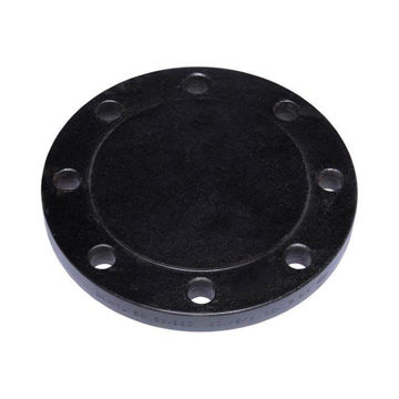 Picture of FORGED FLANGE ASTM/ASME A/SA 105 / A350 LF2 ASA150 x RF x BLD x 200
(SP-50-13)