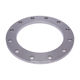 Picture of PLATE FLANGE GRADE 316 L T1000 FLAT FACE SLIP ON 300
